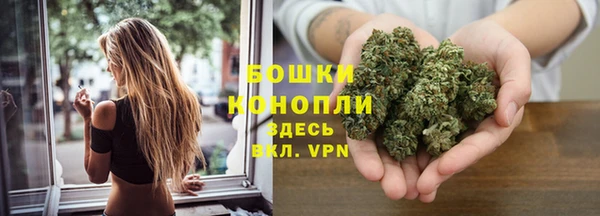 PSILOCYBIN Вязьма