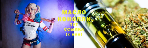 apvp Вяземский