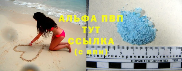 PSILOCYBIN Вязьма