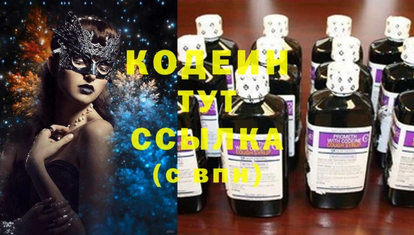 индика Вязники