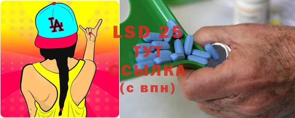 индика Вязники