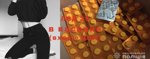 индика Вязники