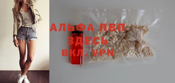 PSILOCYBIN Вязьма