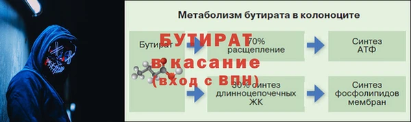 индика Вязники