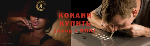 apvp Вяземский