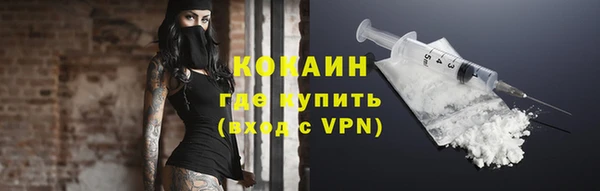 индика Вязники