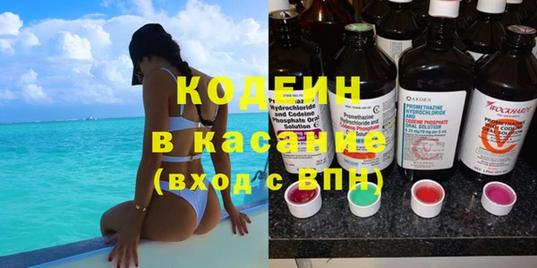 apvp Вяземский