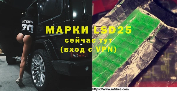 индика Вязники