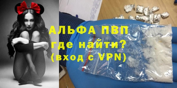 apvp Вяземский