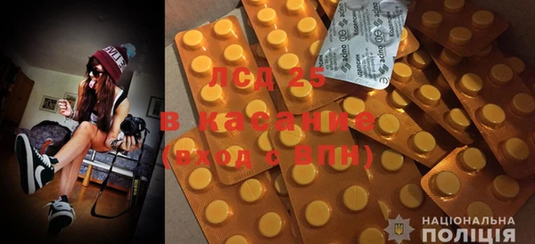 PSILOCYBIN Вязьма