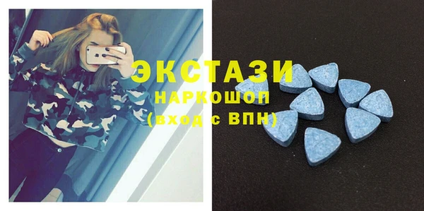 apvp Вяземский