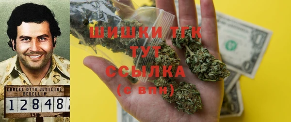 индика Вязники