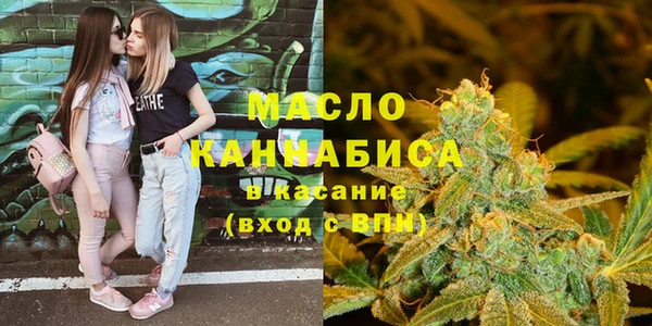 индика Вязники