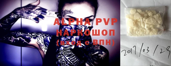 индика Вязники