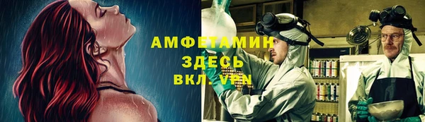 PSILOCYBIN Вязьма